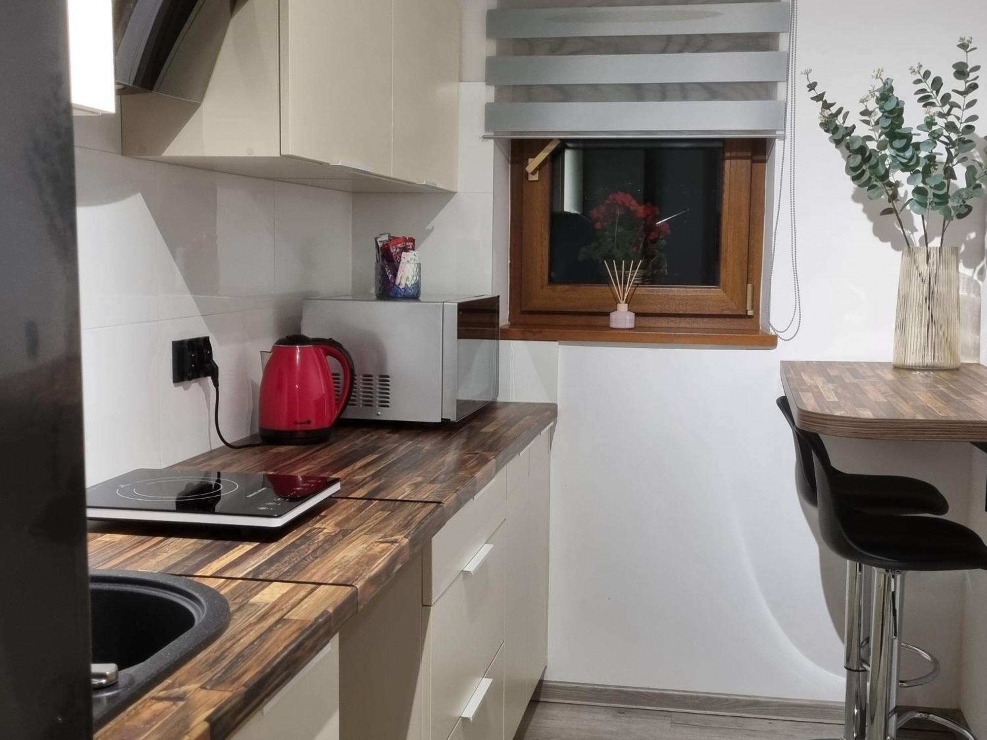 Apartament Paula Jelenia Gora Bagian luar foto