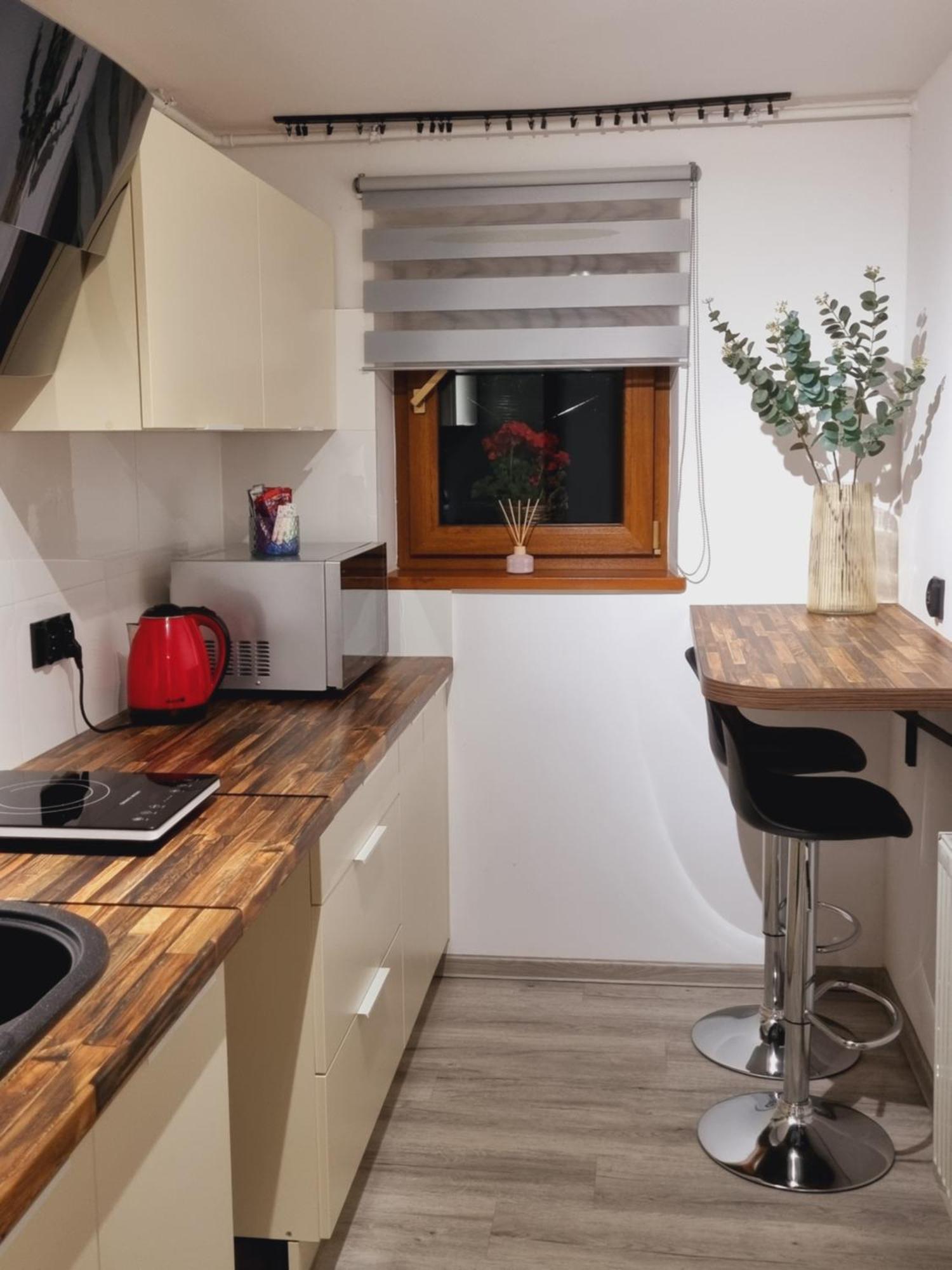 Apartament Paula Jelenia Gora Bagian luar foto